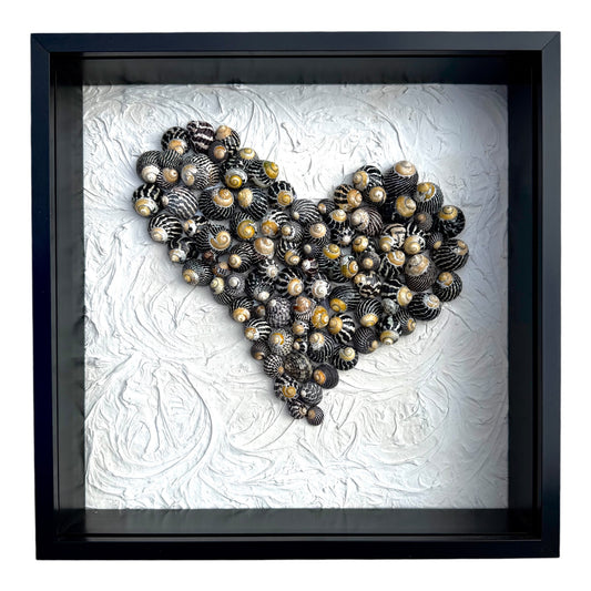 Handmade black and white wall art made from zebra sea snails in a black shadow box frame with textured background. Coastal wall art keepsake  for Mother’s Day, Valentine’s Day, Birthday gift. 