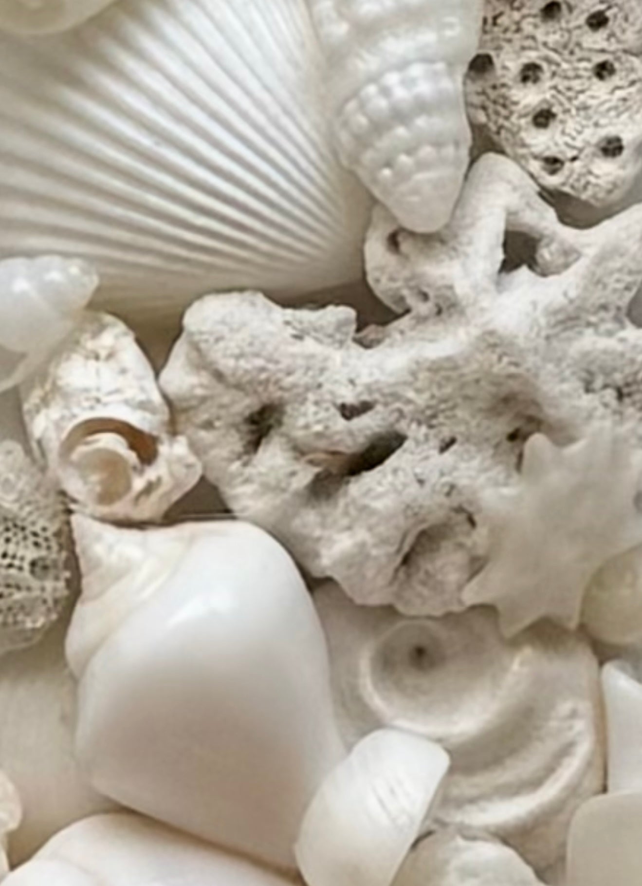 White shells in wall art, initials and decor 