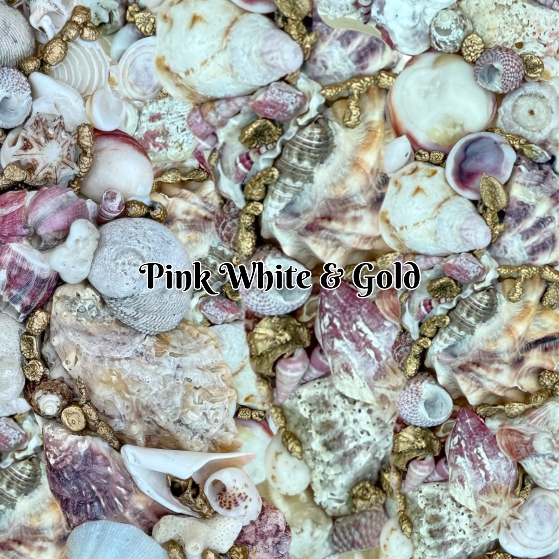 Pink white gold modern coastal shell wall art baby girl nursery