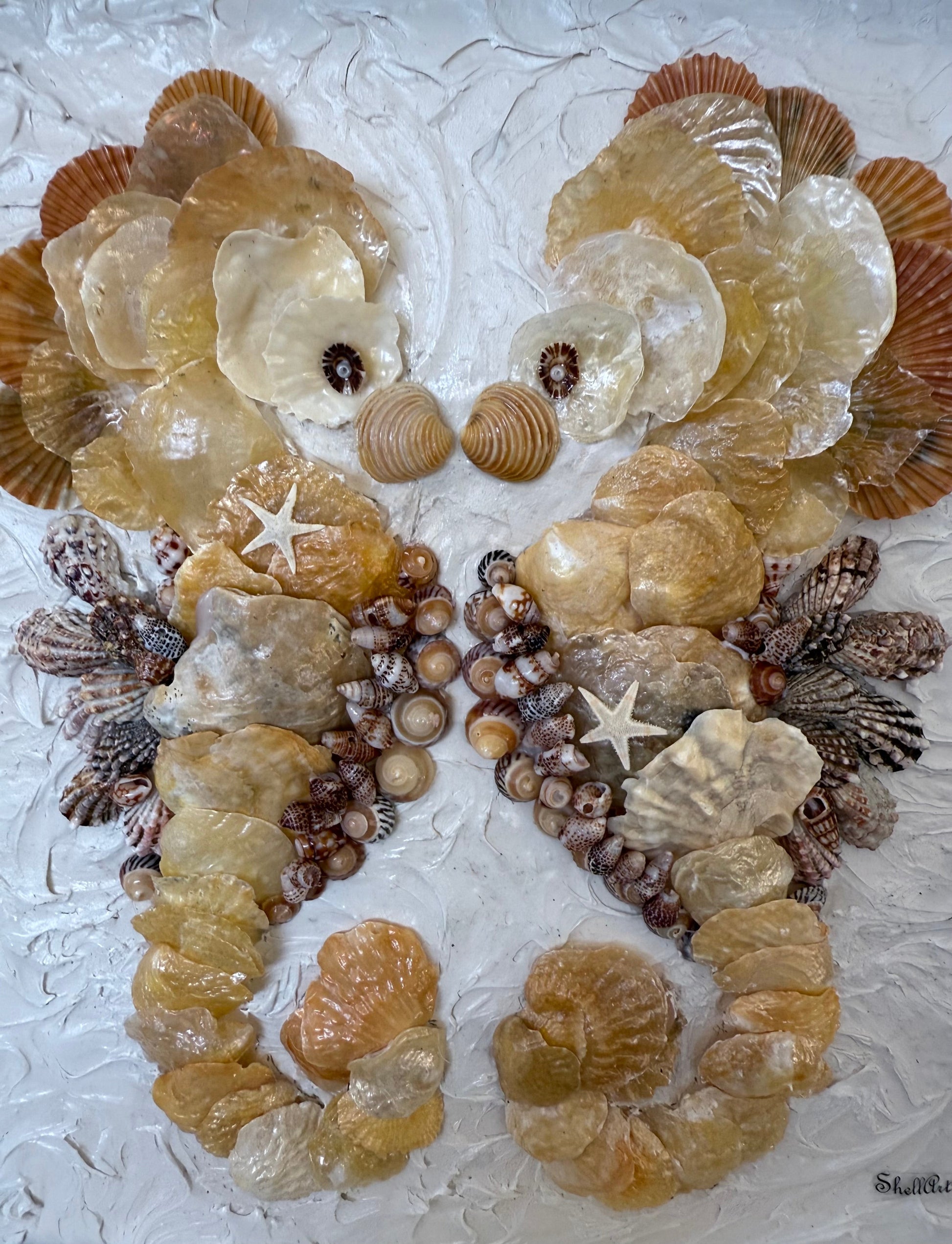 Seahorse coastal wall art framed closeup