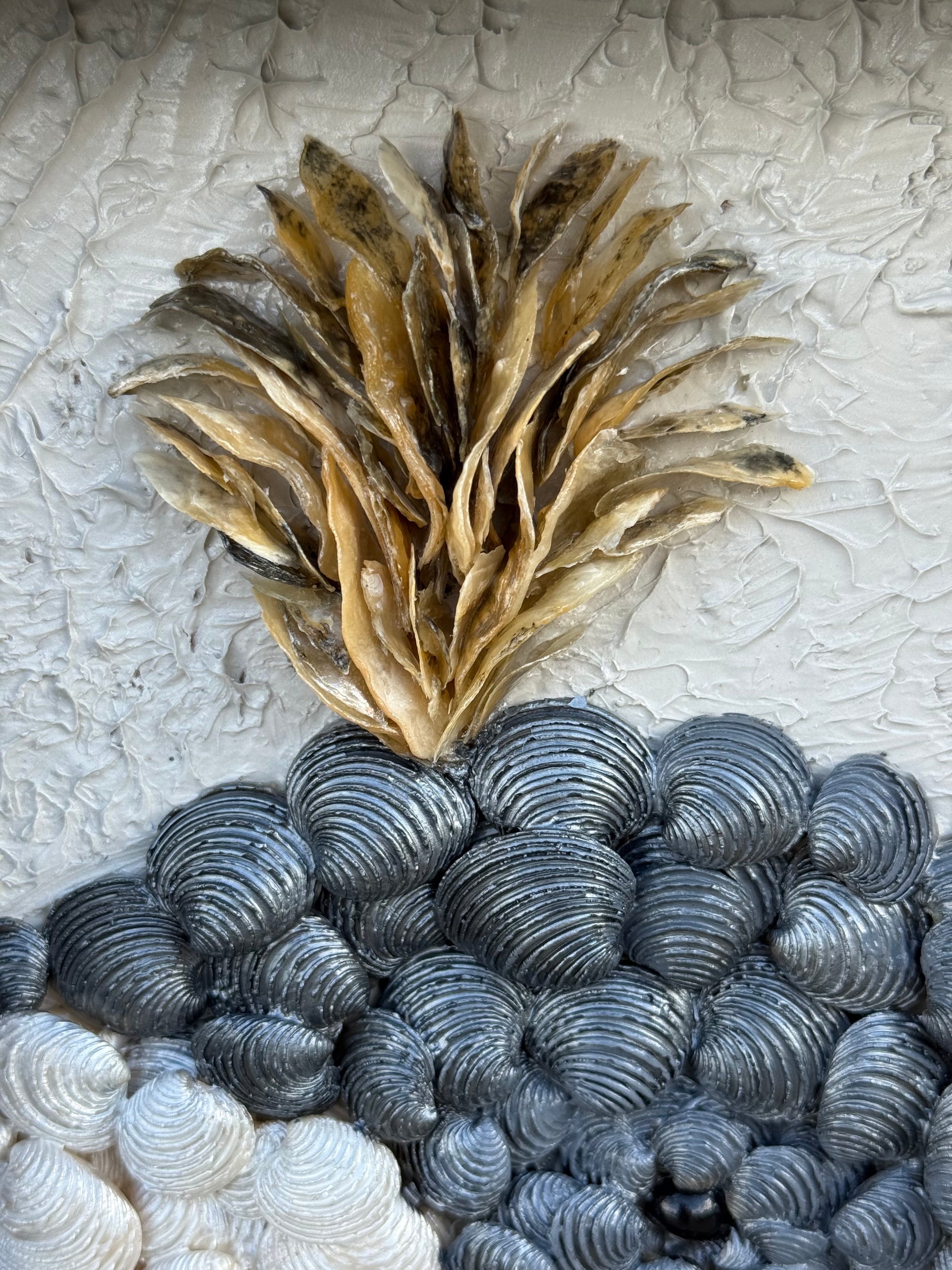 Detailed close up of Black grey white golden spout whale seashell wall art. Bedroom coastal shell art framed.